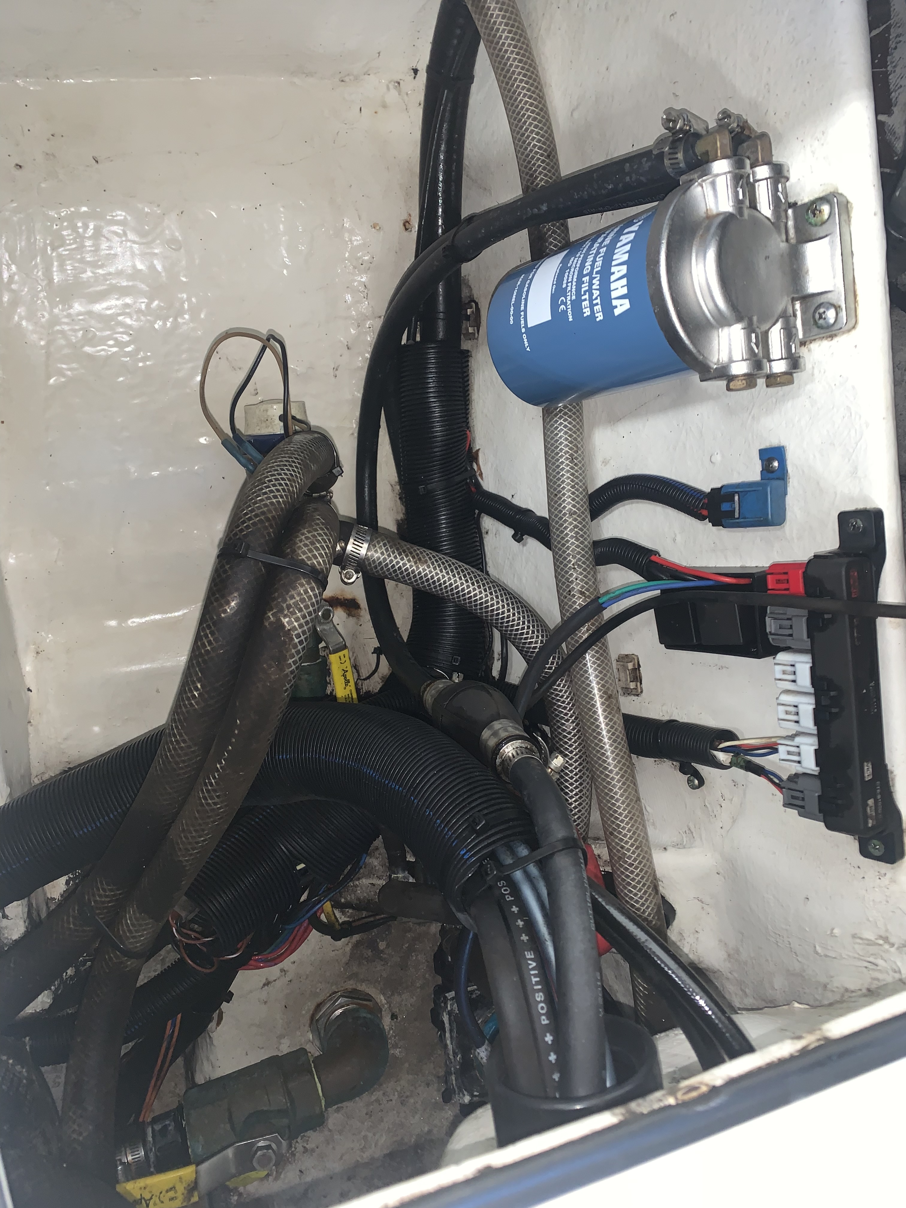 Engine bay wiring after — clean and organized
