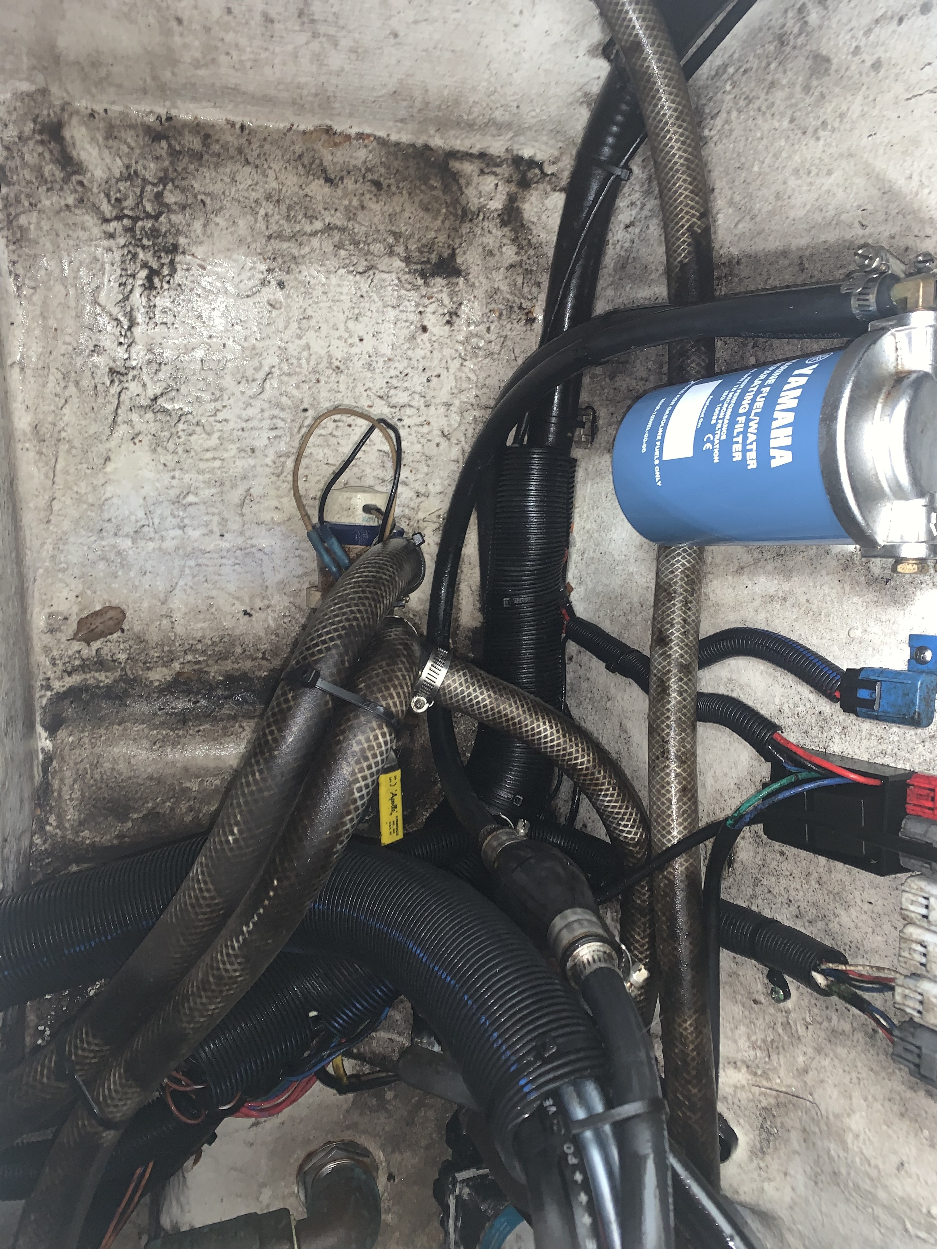Engine bay wiring before — dirty and disorganized